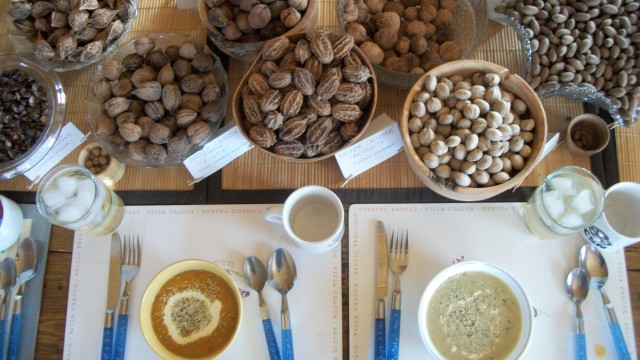 Nordic nuts and soup made with squash and wild local mushrooms. The abundance of the gatherer's table